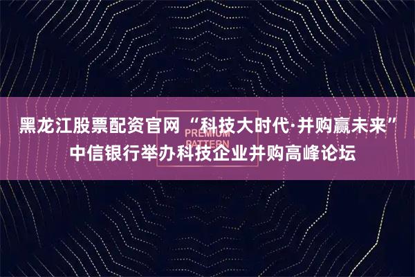 黑龙江股票配资官网 “科技大时代·并购赢未来”  中信银行举办科技企业并购高峰论坛