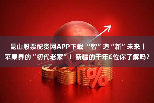 昆山股票配资网APP下载 “智”造“新”未来丨苹果界的“初代老家”！新疆的千年C位你了解吗？