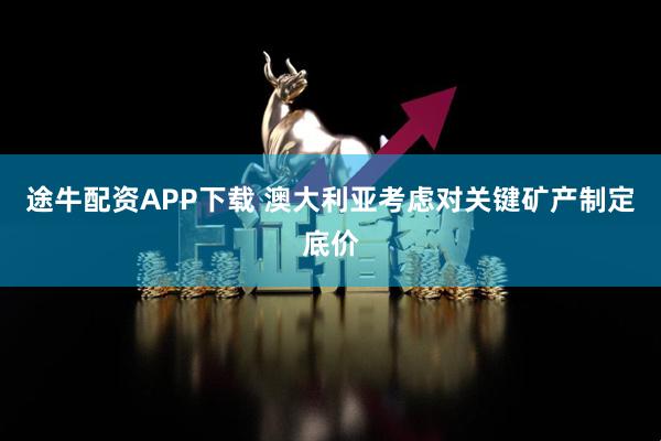 途牛配资APP下载 澳大利亚考虑对关键矿产制定底价